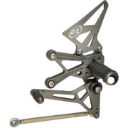 Evol Tech RSV4 LHS web